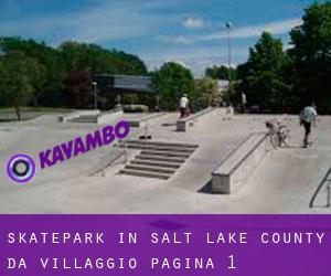 Skatepark in Salt Lake County da villaggio - pagina 1