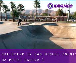 Skatepark in San Miguel County da metro - pagina 1