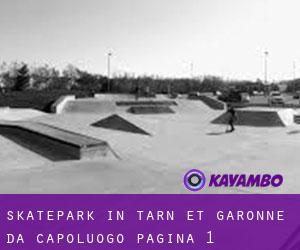 Skatepark in Tarn-et-Garonne da capoluogo - pagina 1