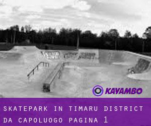 Skatepark in Timaru District da capoluogo - pagina 1