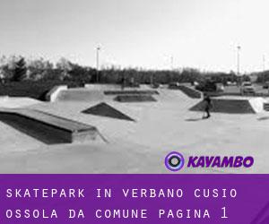 Skatepark in Verbano-Cusio-Ossola da comune - pagina 1