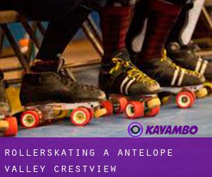 Rollerskating a Antelope Valley-Crestview