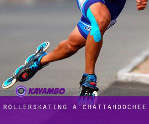 Rollerskating a Chattahoochee Rollerskating a Chattahoochee