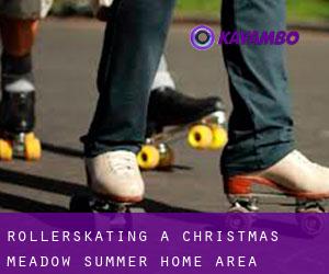 Rollerskating a Christmas Meadow Summer Home Area