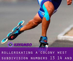 Rollerskating a Colony West Subdivision - Numbers 13, 14 and 15