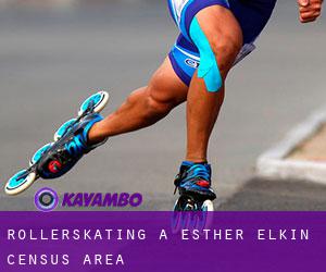 Rollerskating a Esther-Elkin (census area)