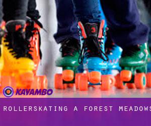 Rollerskating a Forest Meadows