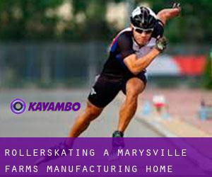 Rollerskating a Marysville Farms Manufacturing Home Community