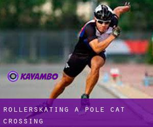 Rollerskating a Pole Cat Crossing