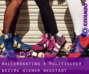 Rollerskating a Politischer Bezirk Wiener Neustadt