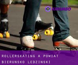 Rollerskating a Powiat bieruńsko-lędziński