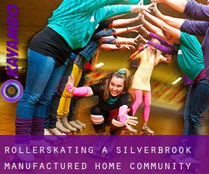 Rollerskating a Silverbrook Manufactured Home Community