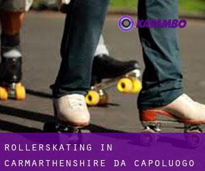 Rollerskating in Carmarthenshire da capoluogo - pagina 1