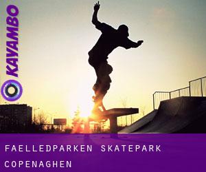 Fælledparken Skatepark (Copenaghen)