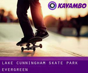 Lake Cunningham Skate Park (Evergreen)