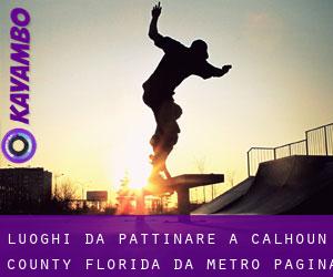 luoghi da pattinare a Calhoun County Florida da metro - pagina 1