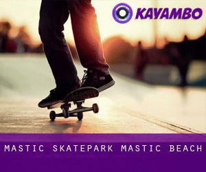Mastic Skatepark (Mastic Beach)