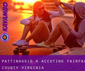 pattinaggio a Accotink (Fairfax County, Virginia)
