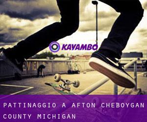 pattinaggio a Afton (Cheboygan County, Michigan)