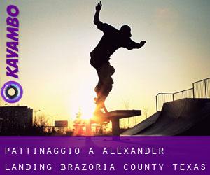 pattinaggio a Alexander Landing (Brazoria County, Texas)