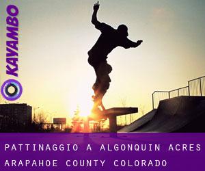 pattinaggio a Algonquin Acres (Arapahoe County, Colorado)