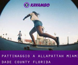 pattinaggio a Allapattah (Miami-Dade County, Florida)