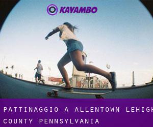 pattinaggio a Allentown (Lehigh County, Pennsylvania)
