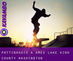 pattinaggio a Ames Lake (King County, Washington)
