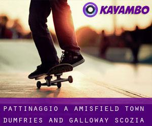 pattinaggio a Amisfield Town (Dumfries and Galloway, Scozia)