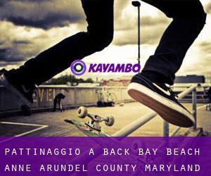 pattinaggio a Back Bay Beach (Anne Arundel County, Maryland)