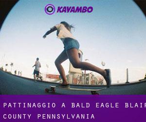 pattinaggio a Bald Eagle (Blair County, Pennsylvania)