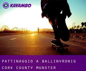 pattinaggio a Ballinvronig (Cork County, Munster)
