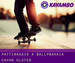 pattinaggio a Ballynahaia (Cavan, Ulster)