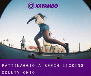 pattinaggio a Beech (Licking County, Ohio)