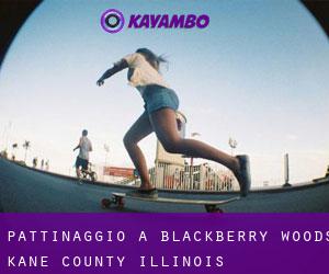 pattinaggio a Blackberry Woods (Kane County, Illinois)