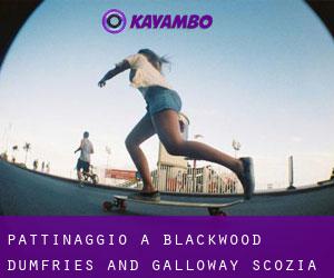 pattinaggio a Blackwood (Dumfries and Galloway, Scozia)