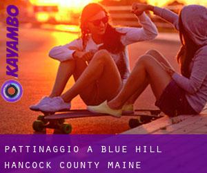 pattinaggio a Blue Hill (Hancock County, Maine)