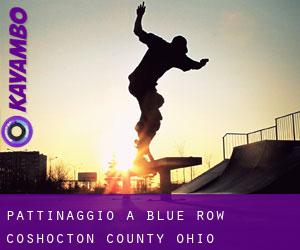 pattinaggio a Blue Row (Coshocton County, Ohio)