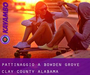 pattinaggio a Bowden Grove (Clay County, Alabama)