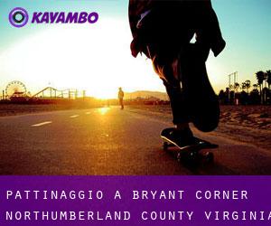 pattinaggio a Bryant Corner (Northumberland County, Virginia)
