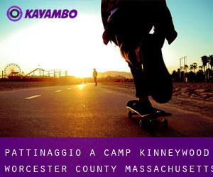 pattinaggio a Camp Kinneywood (Worcester County, Massachusetts)