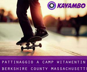 pattinaggio a Camp Witawentin (Berkshire County, Massachusetts)