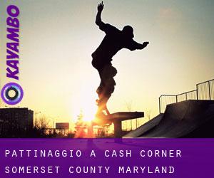 pattinaggio a Cash Corner (Somerset County, Maryland)