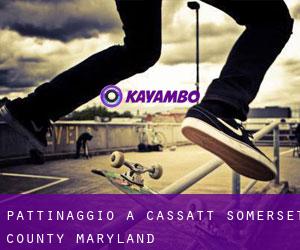pattinaggio a Cassatt (Somerset County, Maryland)