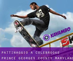pattinaggio a Colebrooke (Prince Georges County, Maryland)