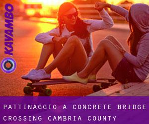 pattinaggio a Concrete Bridge Crossing (Cambria County, Pennsylvania)