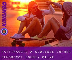 pattinaggio a Coolidge Corner (Penobscot County, Maine)