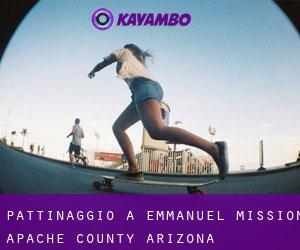 pattinaggio a Emmanuel Mission (Apache County, Arizona)