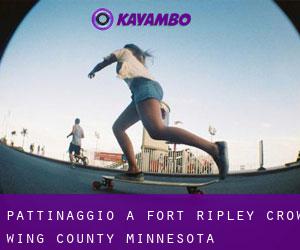 pattinaggio a Fort Ripley (Crow Wing County, Minnesota)