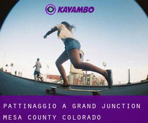 pattinaggio a Grand Junction (Mesa County, Colorado)